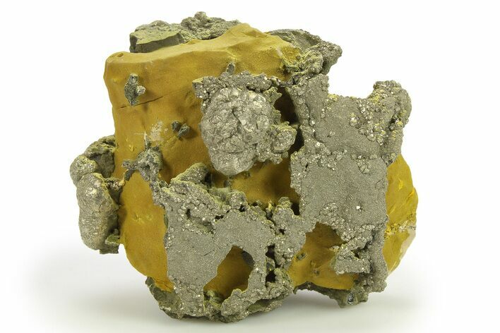 Golden Pyrite on Limonite Clay - Pakistan #283721
